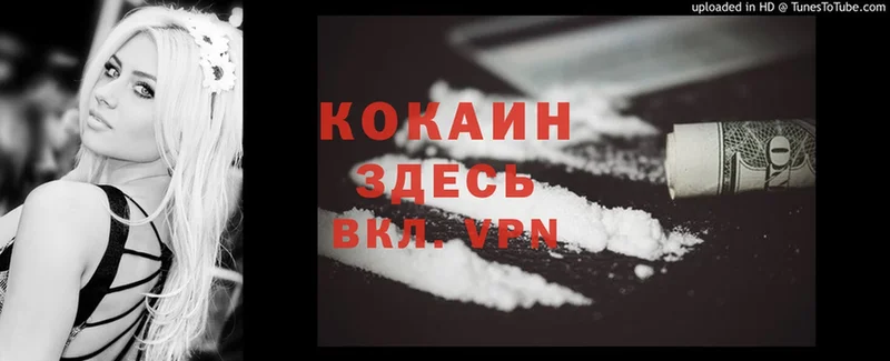 закладка  Игра  Cocaine Перу 