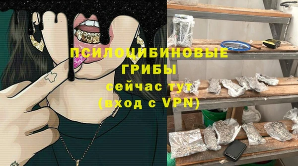 трава Нязепетровск