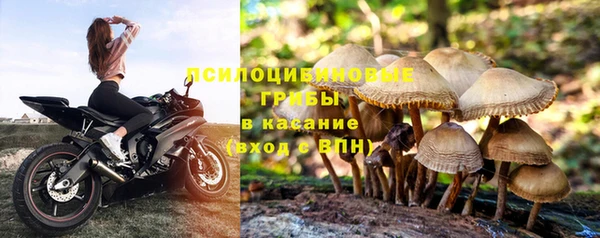 трава Нязепетровск