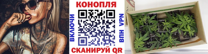 купить  цена  Игра  Марихуана Ganja 